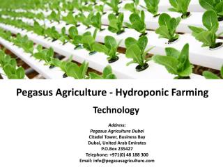 Pegasus Agriculture.pdf