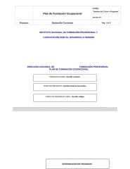 PLANTILLA- PLAN DE FORMACIÓN basado en perfil ocupacional.docx