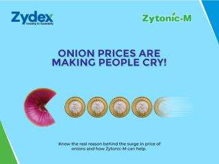 Onion prices conquer new heights.What can be done to control the price rise.pptx